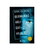 Knyga Berniukas akligatvyje (Leidykla Debesu ganyklos)