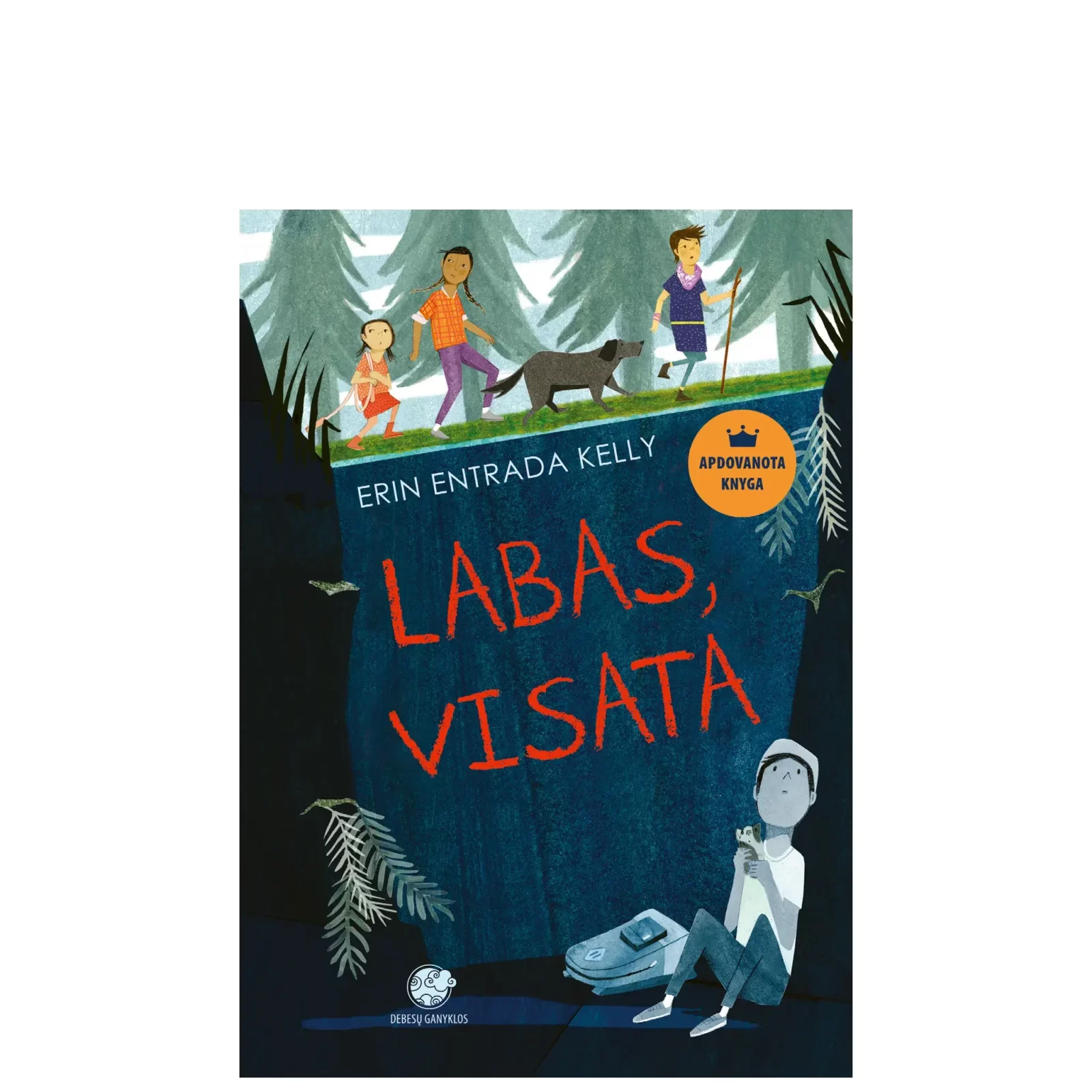 Labas, Visata (mini brokas)