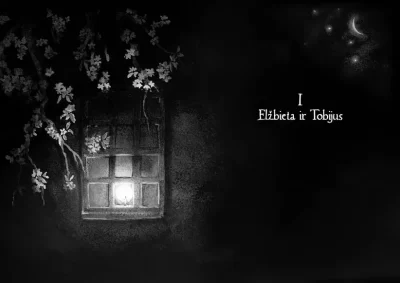 Knyga Lapis Paslapciu miestas (1)