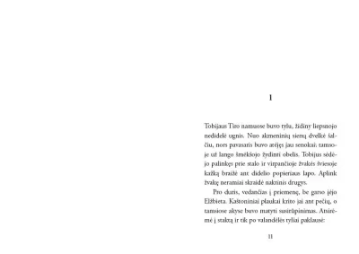 Knyga Lapis Paslapciu miestas (2)