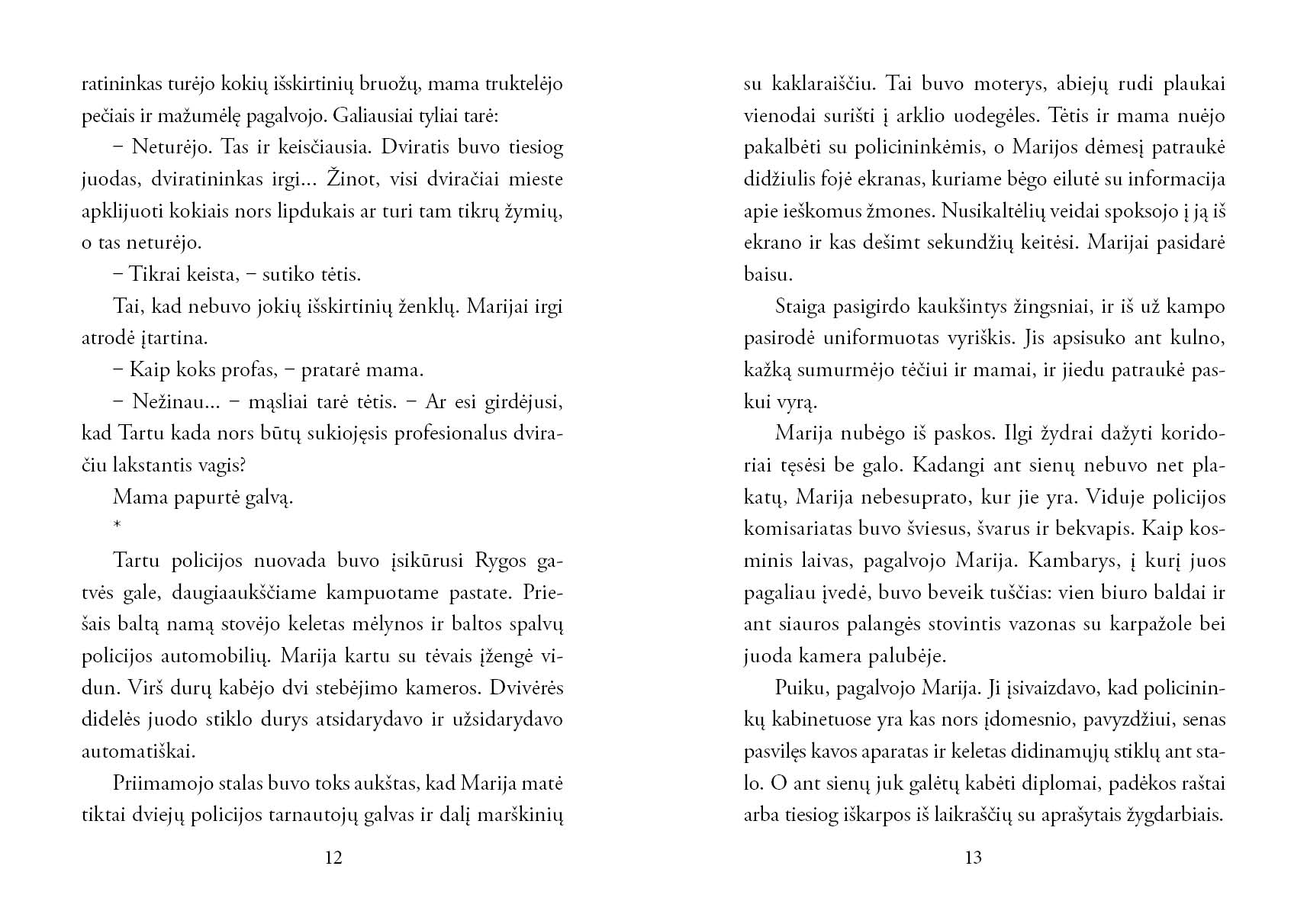 Vaiduoklis_ant_dviracio_atvartai_150RGB4