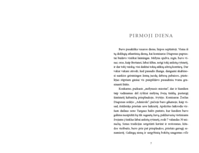 Knyga Bretanes paslaptis (1)
