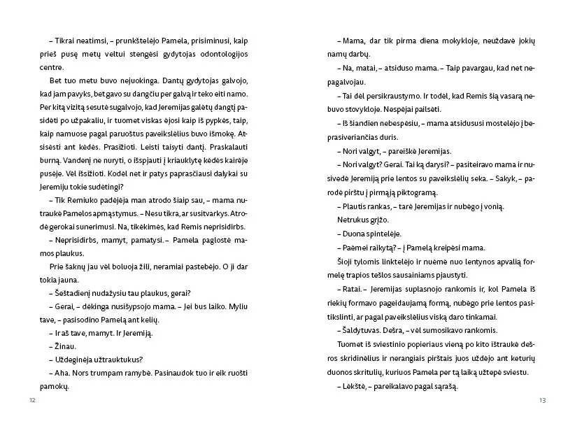 Knyga Bliauk tyliai broli (4)