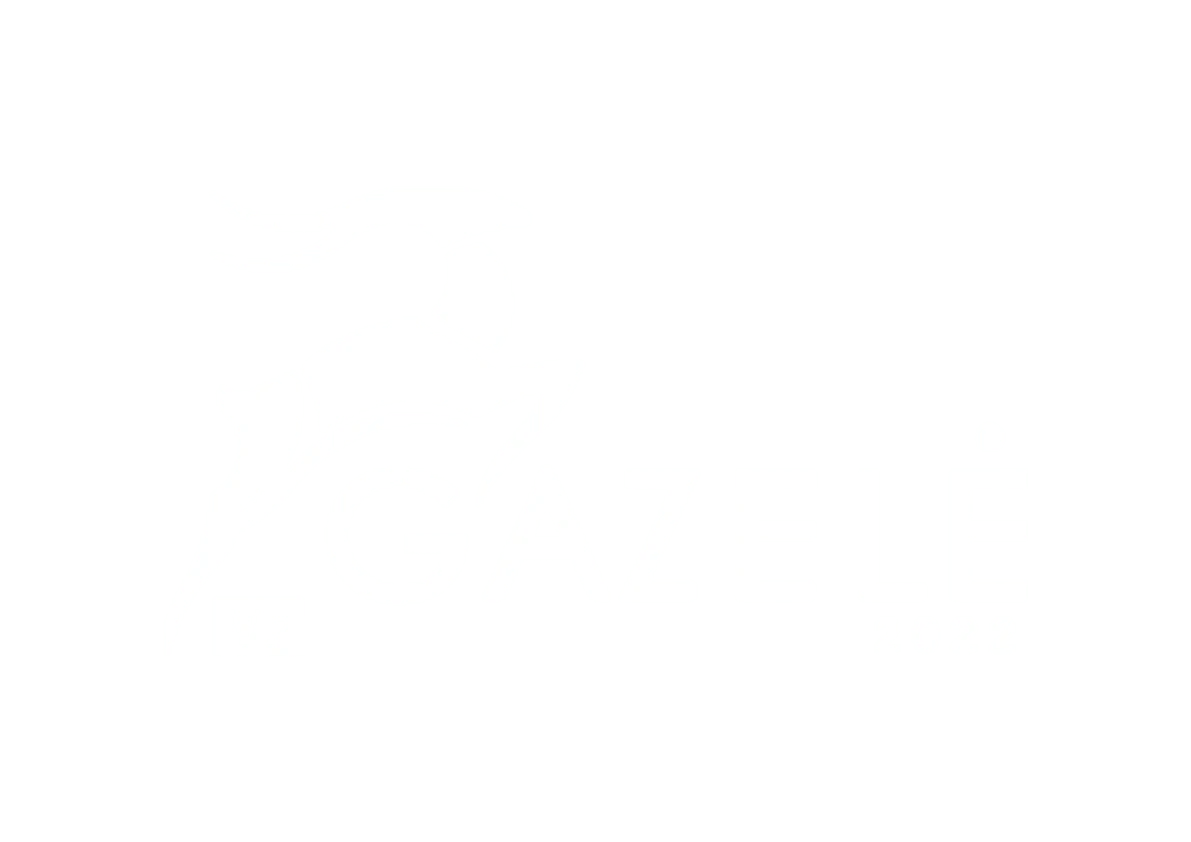 Footer Logo