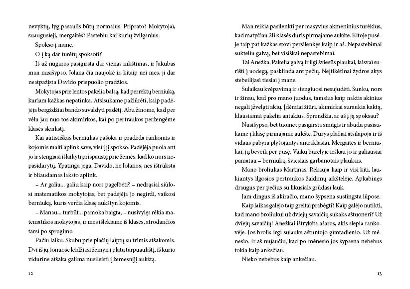 Knyga Gimtadienio prakeiksmas (4)