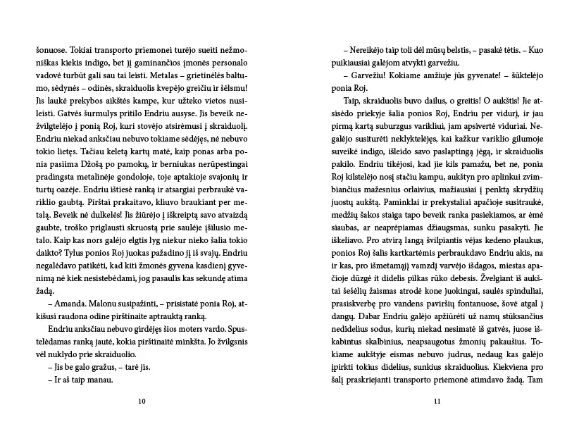 Knyga Indigo miestas (3)