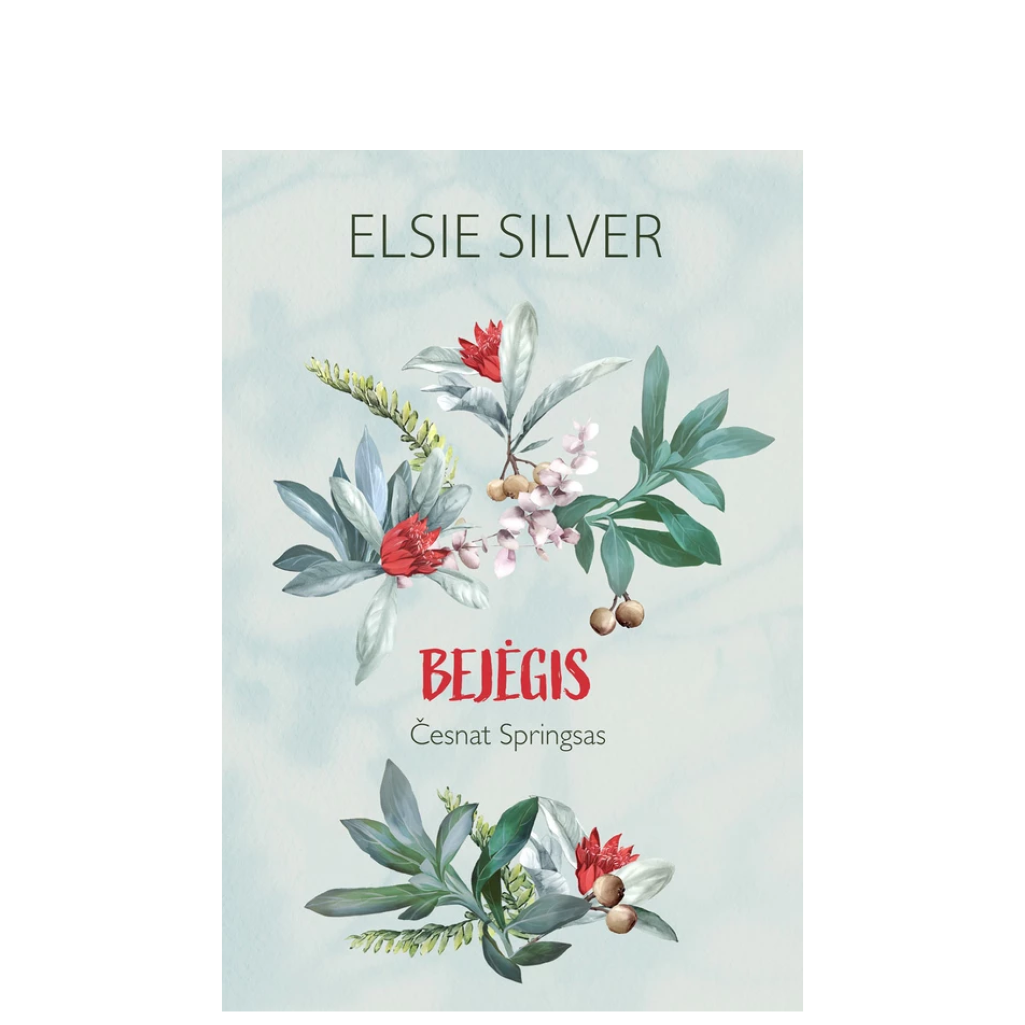 Knyga Bejegis (Leidykla Jotema)